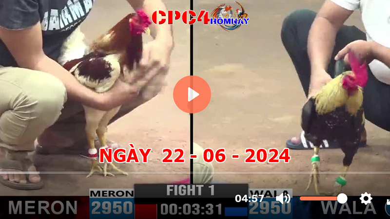 Đá gà CPC4 ngày 22-06-2024