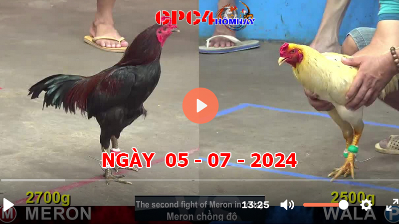 Đá gà CPC4 ngày 05-7-2024