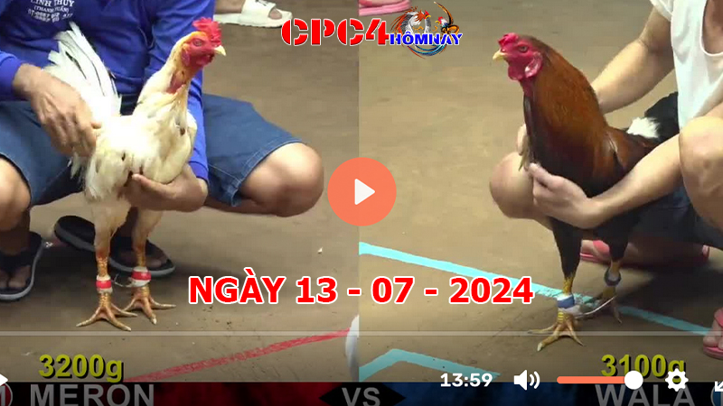 Đá gà CPC4 ngày 13-7-2024