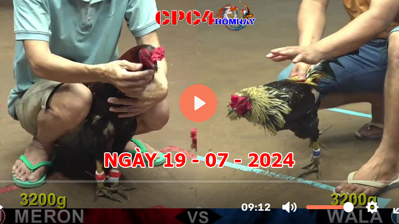 Đá gà CPC4 ngày 19-7-2024