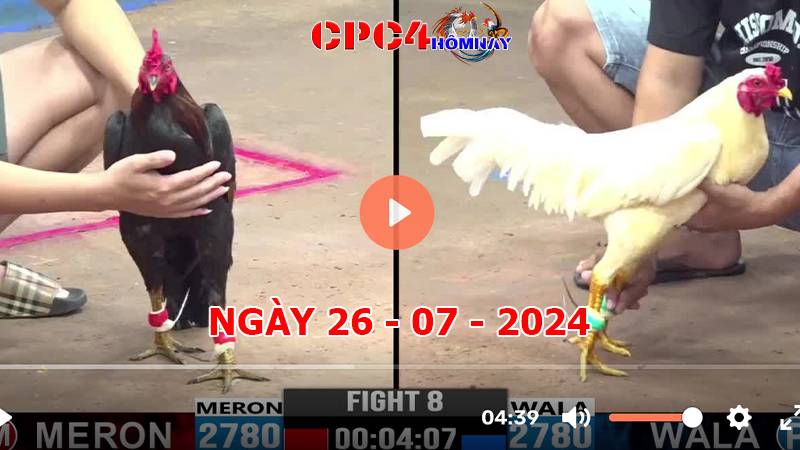 Đá gà CPC4 ngày 26-7-2024